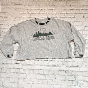 Catskill Mountains American Eagle cropped sweatshirt